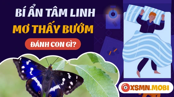 Bướm nhiều màu sắc