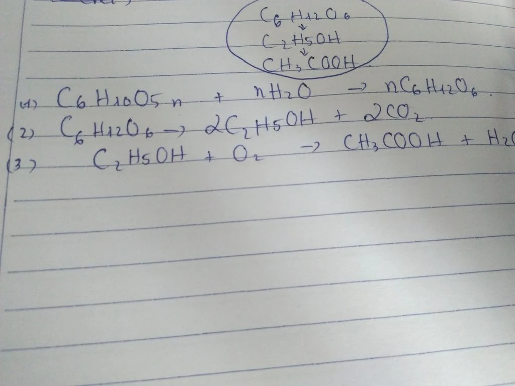 Cấu trúc phân tử glucose