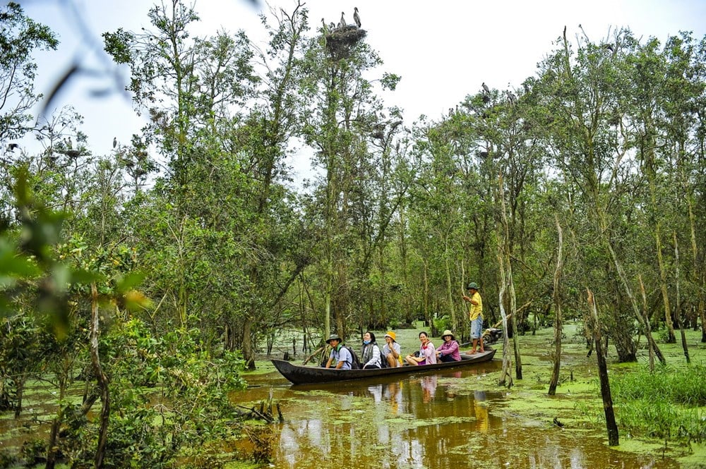 Vườn quốc gia Tràm Chim - Đồng Tháp