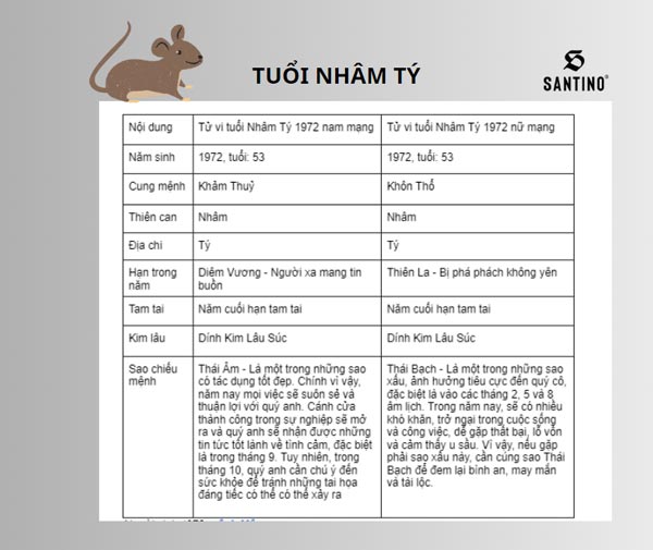 Tử vi tuổi Tý 2024: Tình cảm, sự nghiệp, sức khỏe, tài chính thăng hoa 