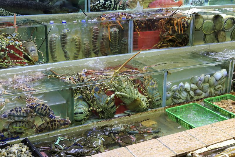 Top 10 Địa Điểm Ăn Hải Sản NGON - BỔ - RẺ Ở Vũng Tàu