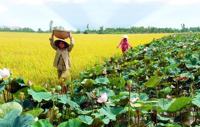 Viết đoạn văn Tả phong cảnh lớp 5