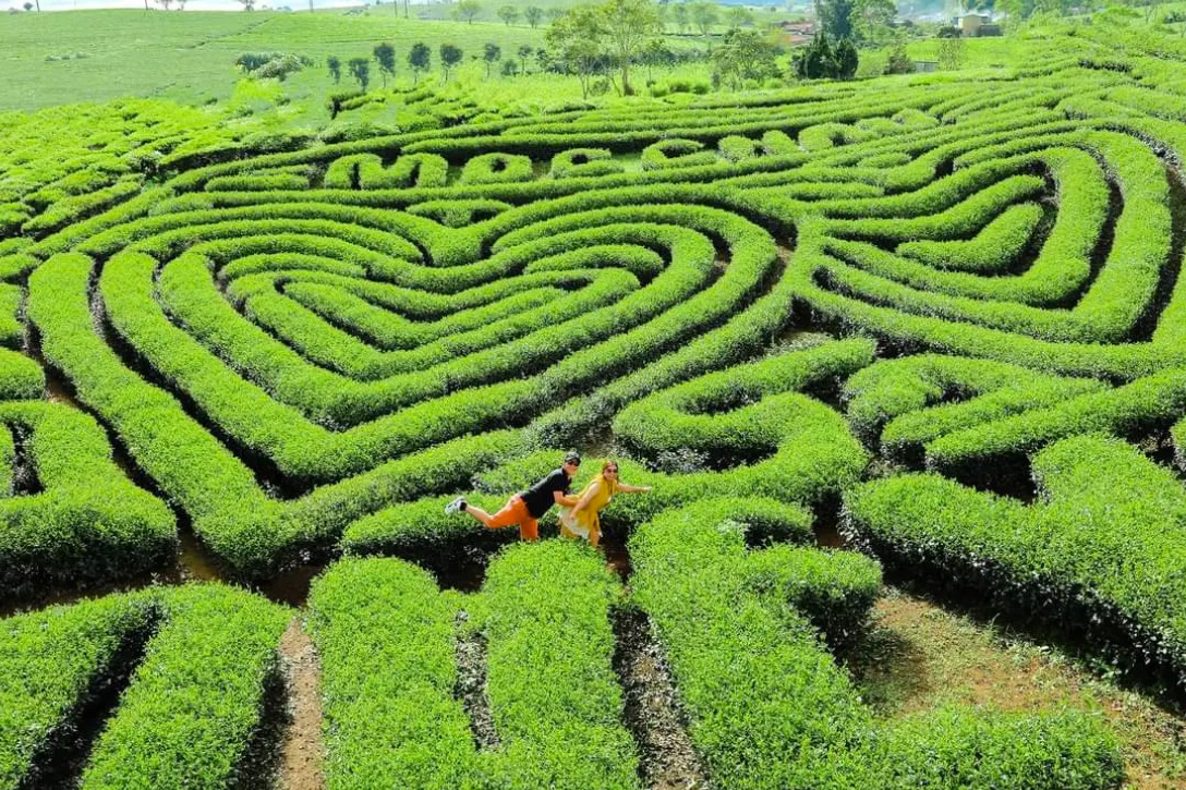 15+ những địa điểm du lịch miền Bắc nổi tiếng đáng trải nghiệm