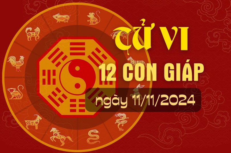 Tử vi hàng ngày - Tử vi 12 con giáp hôm nay ngày 11/11/2024