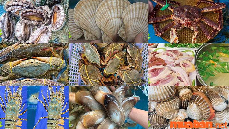 Top 22 Quán Ăn Ngon Thủ Đức Nổi Tiếng Dân “Sành Ăn” Không Nên Bỏ Lỡ