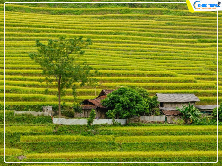 Hướng dẫn kinh nghiệm du lịch Hà Giang bằng ô tô mới nhất năm 2024