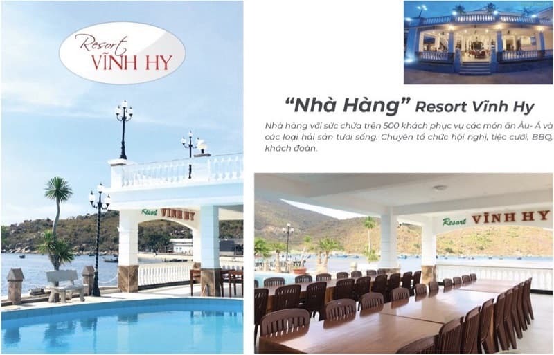 Tour Hang Rái Vĩnh Hy - Vườn Nho - Đồng Cừu [ ĐẸP-RẺ-CHẤT]