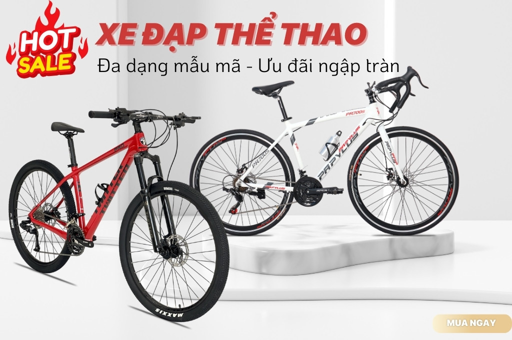 Xe Đạp Thể Thao Cao Cấp - Giá Rẻ - Khuyến Mãi Lớn TPHCM