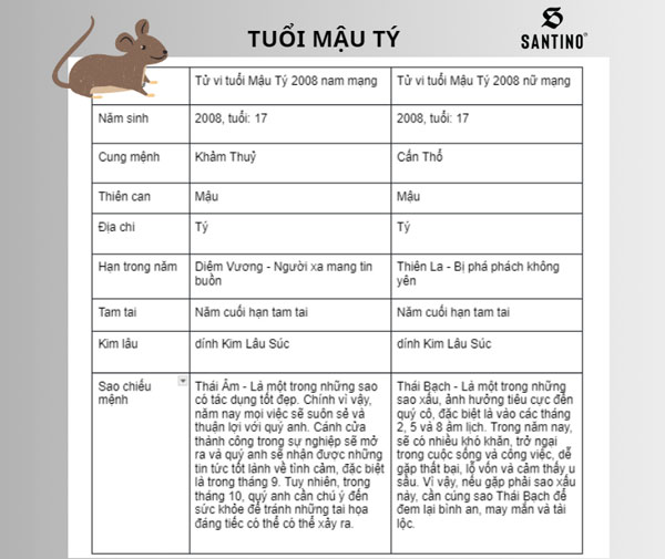 Tử vi tuổi Tý 2024: Tình cảm, sự nghiệp, sức khỏe, tài chính thăng hoa 