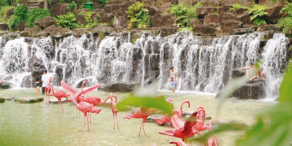 “Xả stress cuối tuần” tại khu du lịch Suối Mơ Đồng Nai