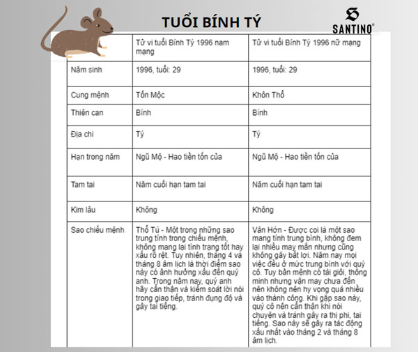 Tử vi tuổi Tý 2024: Tình cảm, sự nghiệp, sức khỏe, tài chính thăng hoa 