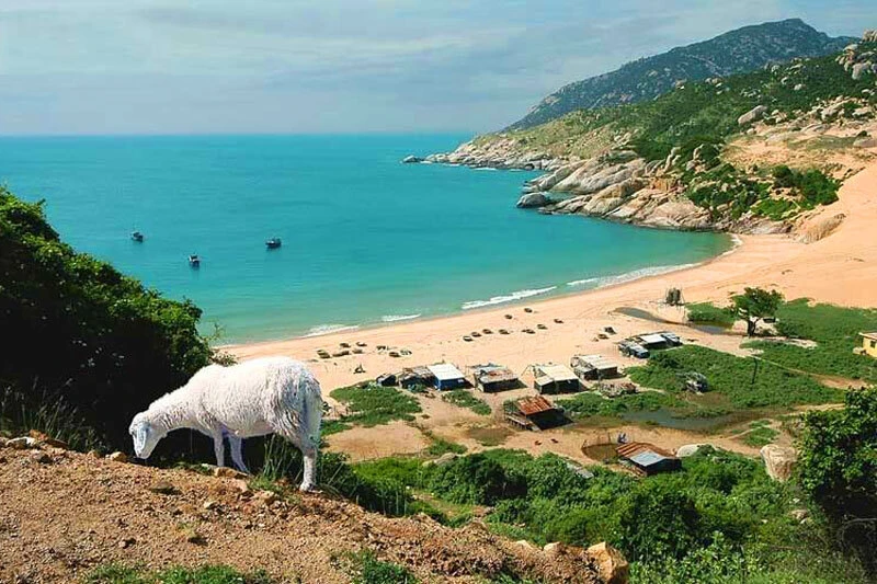 Bãi Tràng Mũi Dinh Ninh Thuận