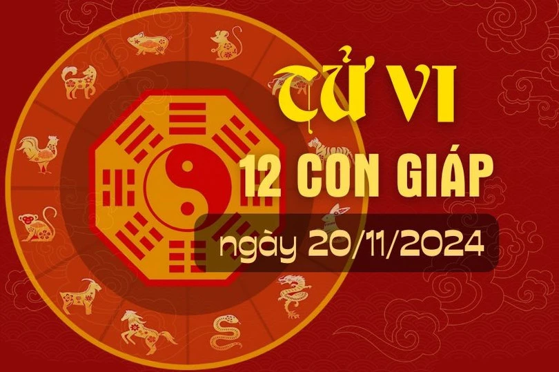 Tử vi hàng ngày - Tử vi 12 con giáp hôm nay ngày 20/11/2024