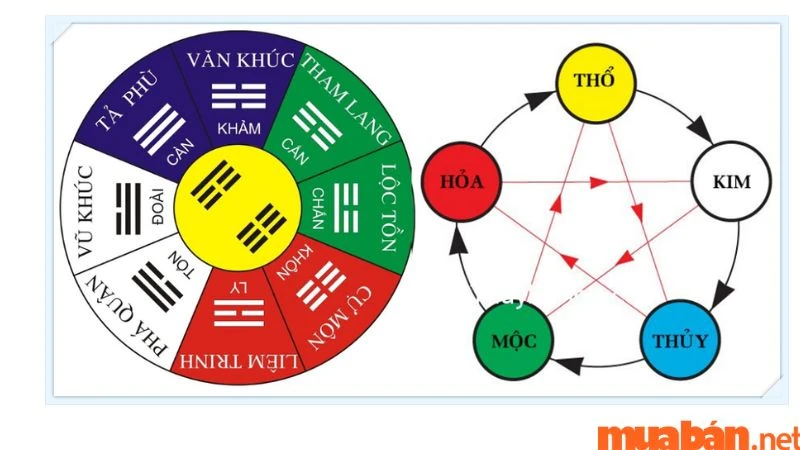 Tử Vi Tuổi Tý 1984 Năm 2023 Nữ Mạng Luận Giải Chi Tiết Chính Xác