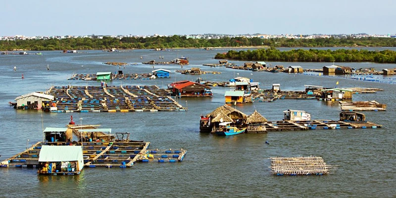 Du lịch Hồ Tràm - Thiên đường của những chuyến nghỉ dưỡng sang chảnh