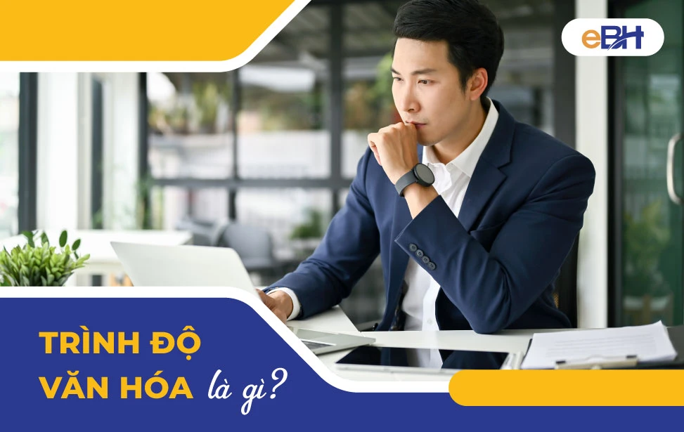 Trình độ văn hóa là gì? Cách ghi trong sơ yếu lý lịch 2023