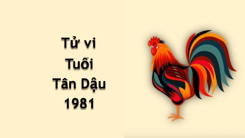 Xem tử vi tuổi Tân Dậu 1981 - Nữ mạng năm 2025 ĐẦY ĐỦ, CHI TIẾT NHẤT