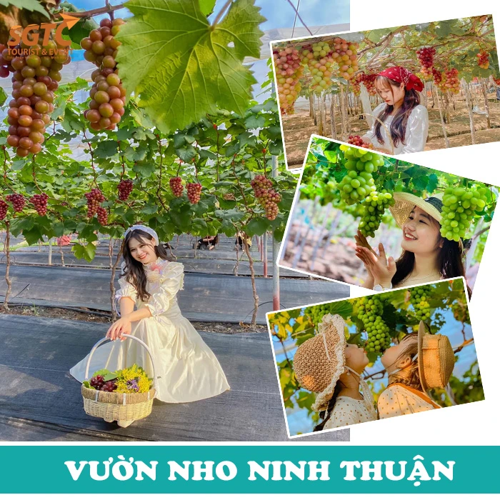 TOUR BÌNH HƯNG - NHA TRANG 3 NGÀY 3 ĐÊM