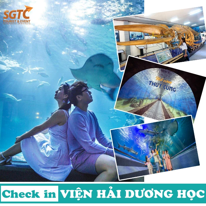 TOUR BÌNH HƯNG - NHA TRANG 3 NGÀY 3 ĐÊM