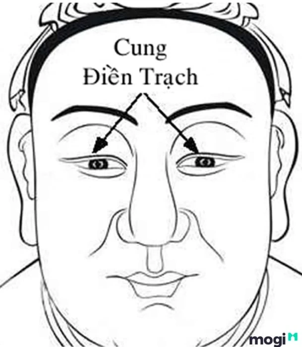 Tìm hiểu về Sao Tử Vi và Ý Nghĩa Trong Các Cung Mệnh