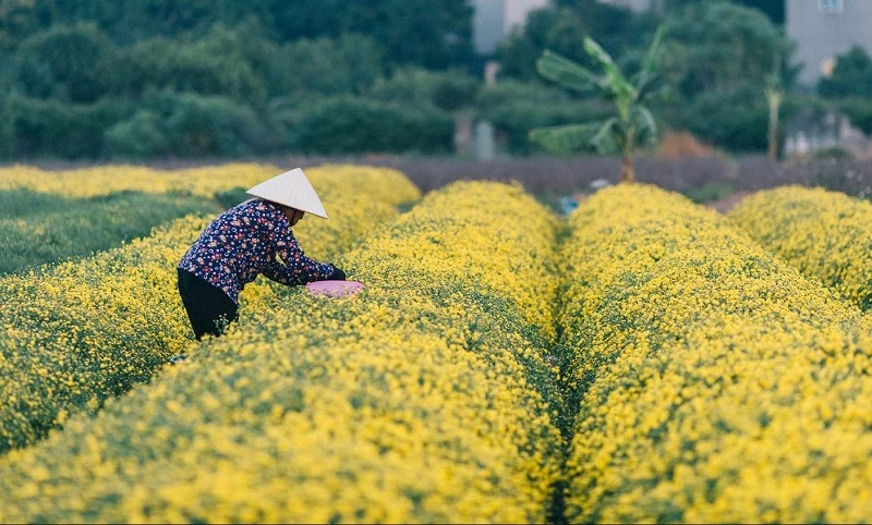 Top 10 địa điểm du lịch Hưng Yên nổi tiếng không thể bỏ qua