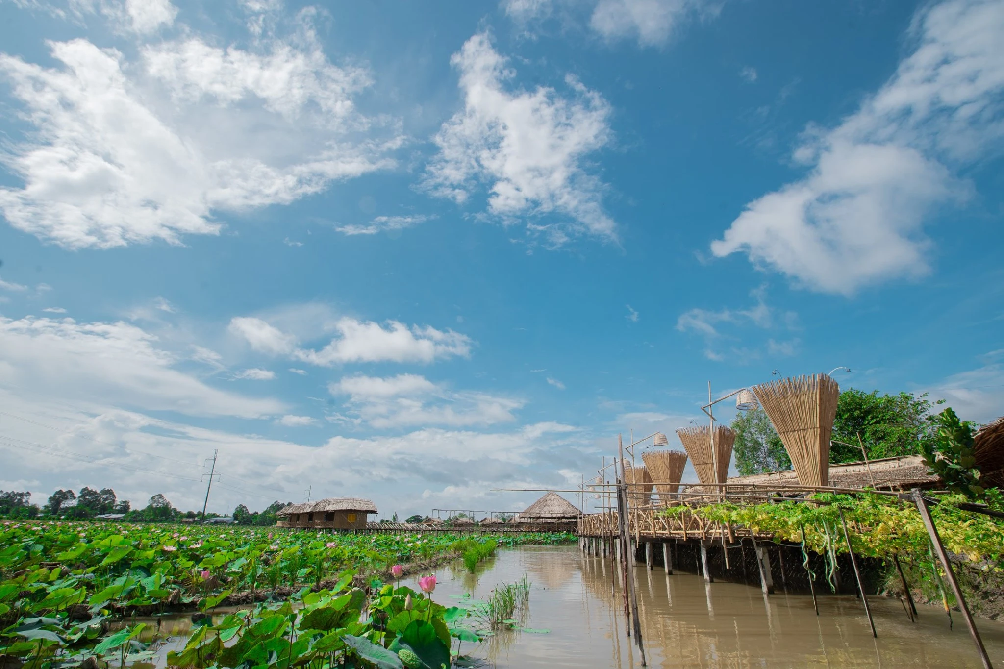 Khu du lịch sinh thái Mỹ Phước Thành - Đồng Tháp