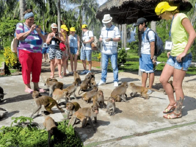 Du lịch sinh thái Cần Giờ - Di sản thiên nhiên Việt Nam