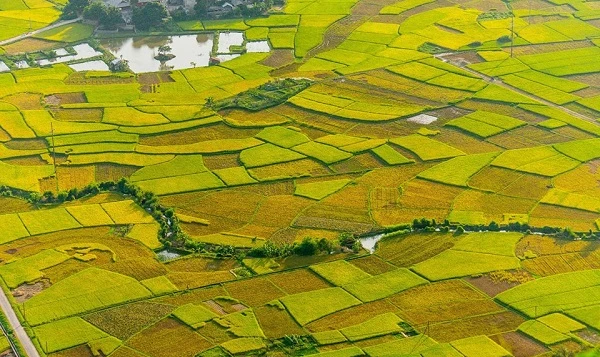 Tour du lịch Mai Châu Hòa Bình 2 ngày 1 đêm