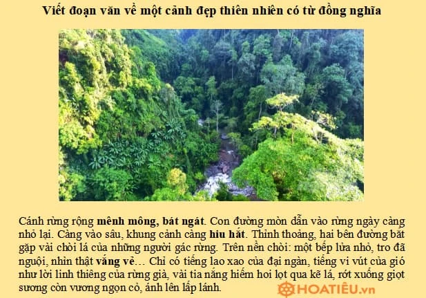 Viết đoạn văn 4-5 câu về một cảnh đẹp thiên nhiên có từ đồng nghĩa