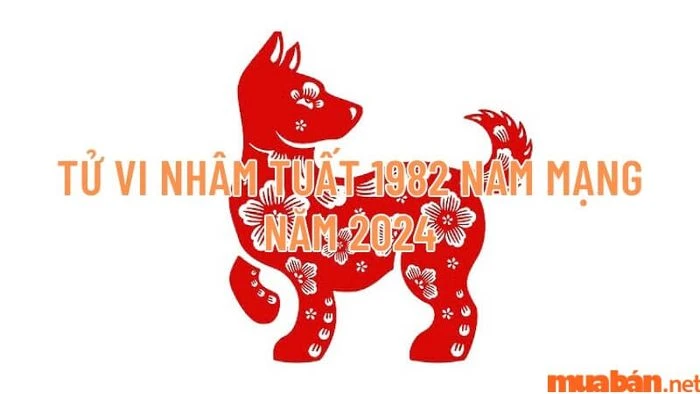 Tử Vi Nhâm Tuất 1982 Nam Mạng Năm 2024: Sao Kế Đô Chiếu Mệnh