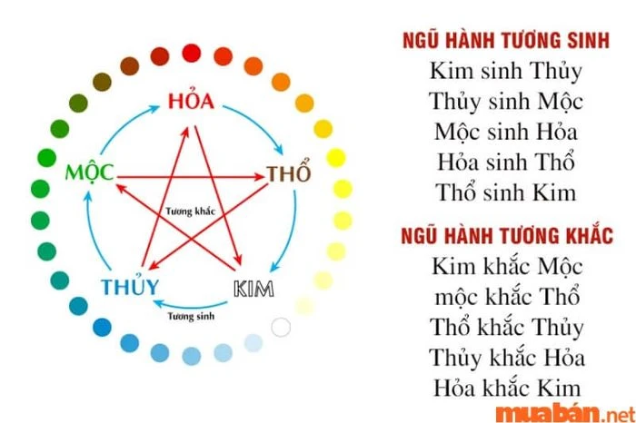 Tử Vi Nhâm Tuất 1982 Nam Mạng Năm 2024: Sao Kế Đô Chiếu Mệnh