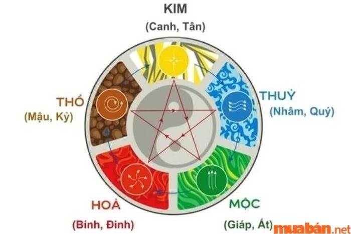 Tử Vi Nhâm Tuất 1982 Nam Mạng Năm 2024: Sao Kế Đô Chiếu Mệnh