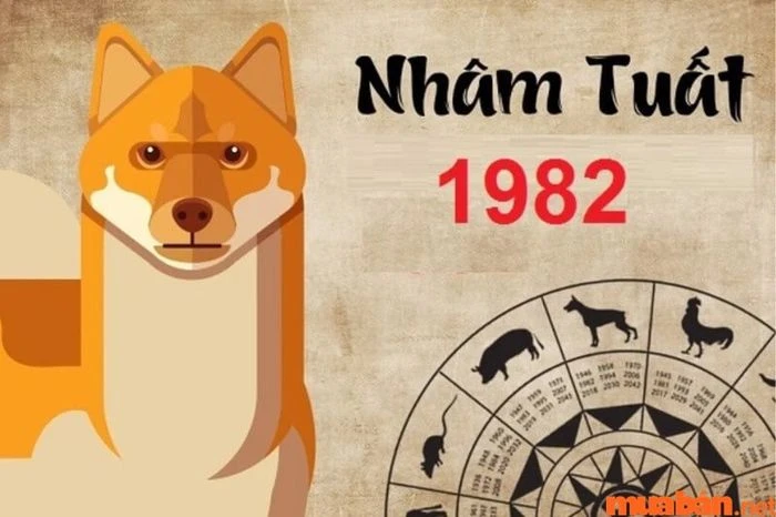 Tử Vi Nhâm Tuất 1982 Nam Mạng Năm 2024: Sao Kế Đô Chiếu Mệnh