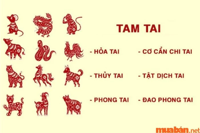 Tử Vi Nhâm Tuất 1982 Nam Mạng Năm 2024: Sao Kế Đô Chiếu Mệnh