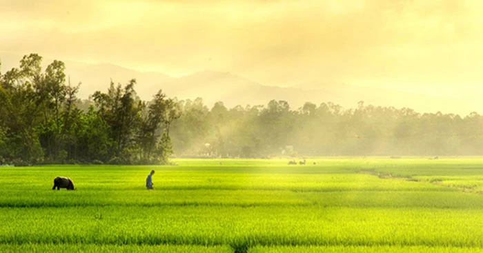 Cảnh đẹp Nha Trang mà tôi yêu thích