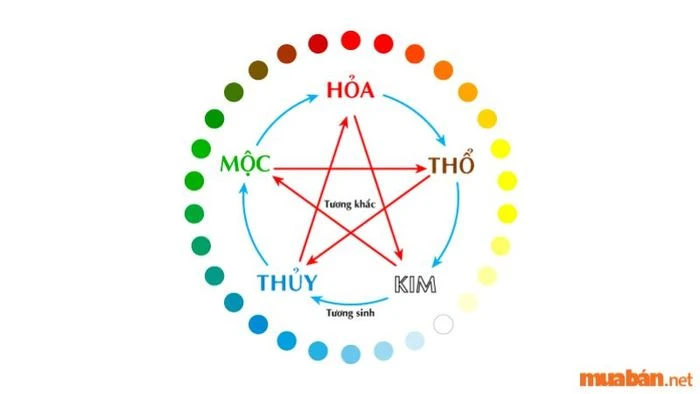 Tử vi nam Quý Dậu 1993 năm 2024 - Chú ý đến các vấn đề tài chính