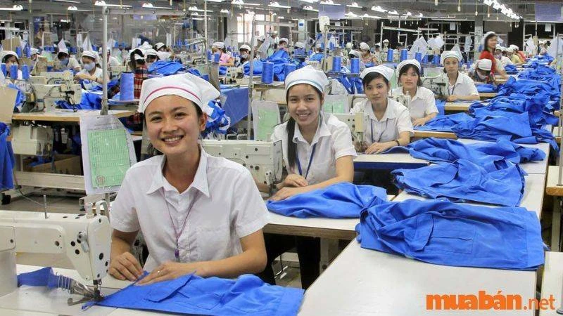 Tuyển Dụng, Tìm Việc Làm Mỹ Tho, Tiền Giang Mới Nhất T12/2024