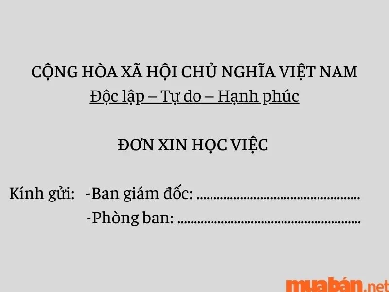 Gợi Ý Mẫu Đơn Xin Học Việc Chuẩn Có Thể Dùng Cho Nhiều Ngành Nghề