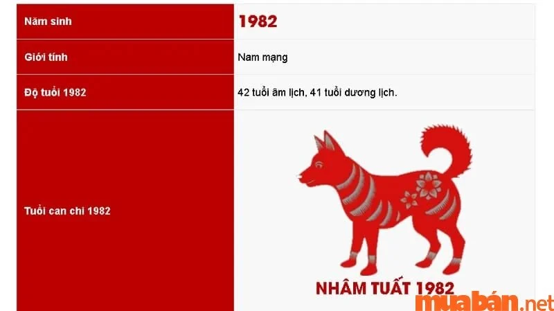 Tử vi Nhâm Tuất 2023 nam mạng và những lời khuyên trong năm 2023