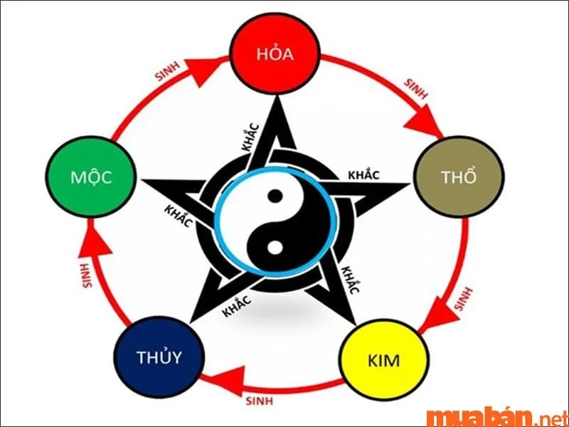 Tử vi Nhâm Tuất 2023 nam mạng và những lời khuyên trong năm 2023