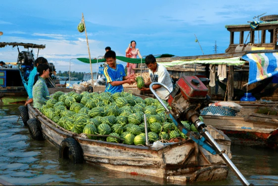 Khám Phá Cảnh Đẹp Tiền Giang Tại Biển Tân Thành