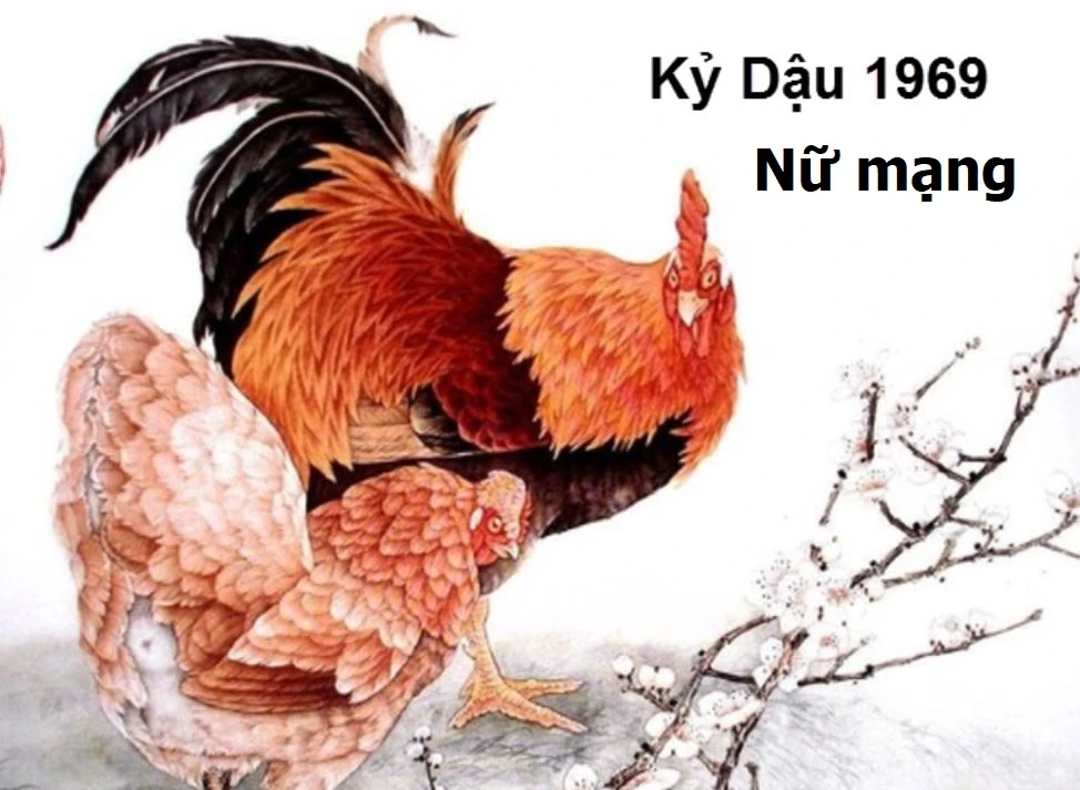 Tử vi tuổi Kỷ Dậu nam mạng, nữ mạng 1969 năm 2024: Cẩn thận khi xuất hành xa