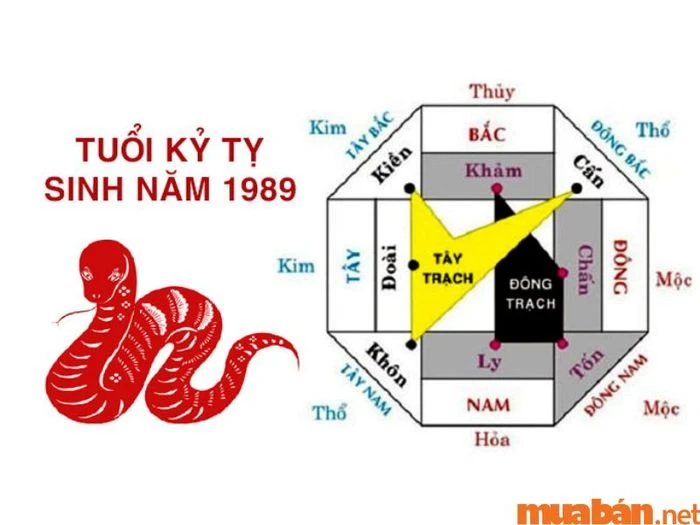 Dự đoán tử vi nữ tuổi Kỷ Tỵ 1989 năm 2024 chính xác nhất