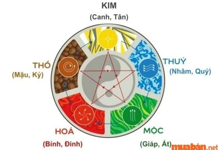 Tử Vi Nữ Tân Mùi 1991 Năm 2024: Đón Nhận Hạn Địa Võng