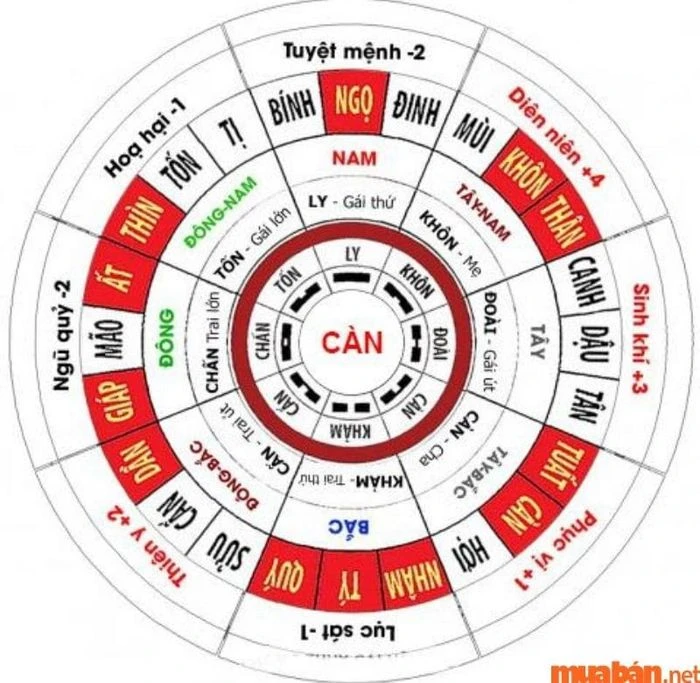 Tử Vi Nữ Tân Mùi 1991 Năm 2024: Đón Nhận Hạn Địa Võng