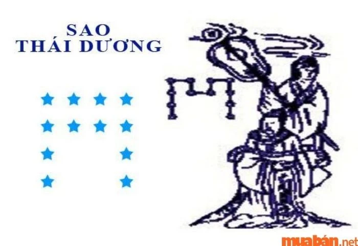 Tử Vi Nữ Tân Mùi 1991 Năm 2024: Đón Nhận Hạn Địa Võng