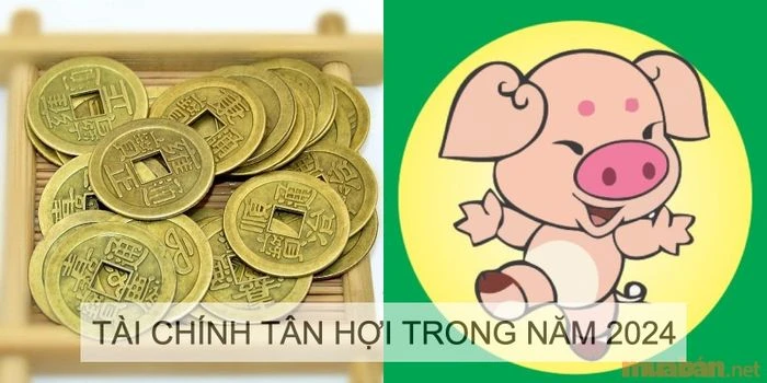 Phân tích chi tiết tử vi nam Tân Hợi 1971 trong năm 2024