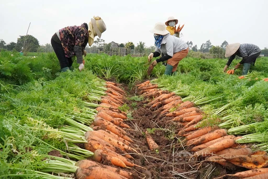 13+ Địa Điểm Du Lịch Hải Dương Nổi Tiếng, Hấp Dẫn Du Khách