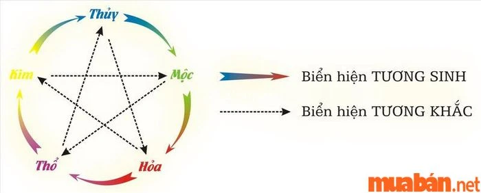 Tử vi Quý Sửu 1973 Năm 2024 - Nữ Mạng: Không gặp hạn Tam Tai