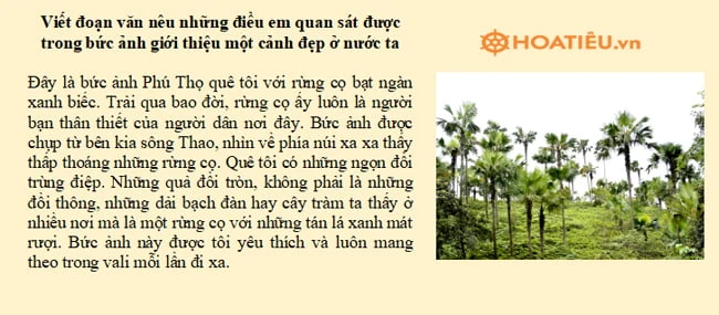 Top 7 Viết đoạn văn nêu những điều em quan sát được trong bức ảnh giới thiệu một cảnh đẹp ở nước ta